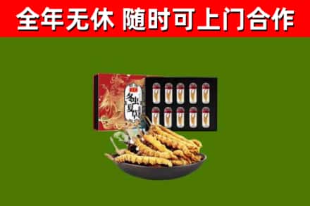 宁都县回收冬虫夏草价格